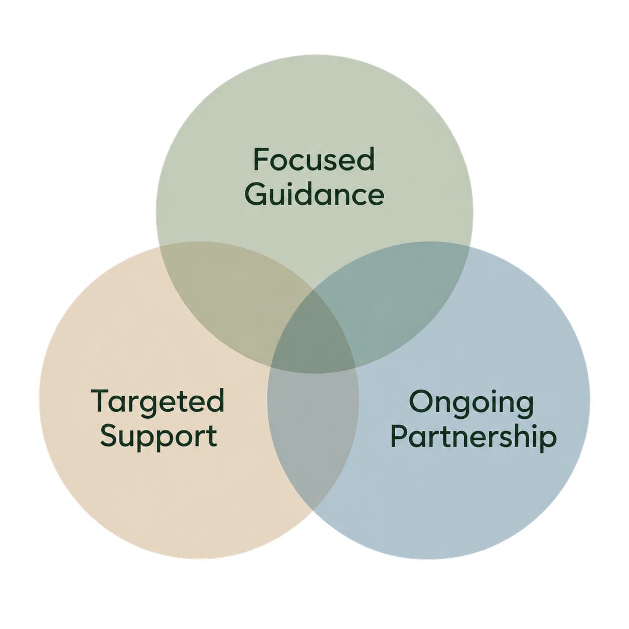 Diagram showing three ways support can fit: focused guidance, targeted support, and ongoing partnership
